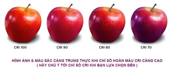 Chỉ số hoàn màu CRI của đèn LED