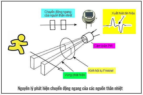 Nguyên lý hoạt động đui đèn cảm biến