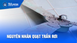 quạt trần rơi