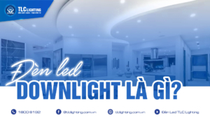 đèn downligh là gì