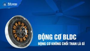 dong-co-khong-choi-than