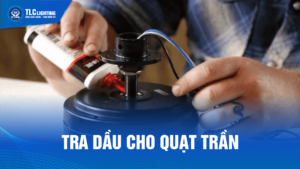 tra-dau-quat-tran