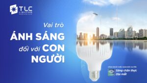 vai trò của ánh sáng đối với con người